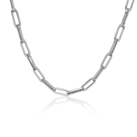 N°100 ARGENTO
